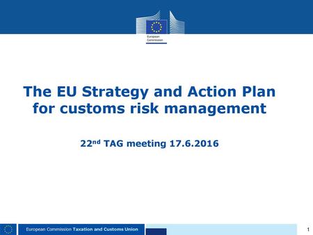 The EU Strategy and Action Plan for customs risk management