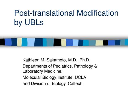 Post-translational Modification by UBLs