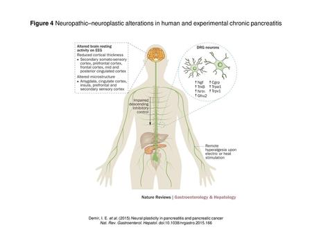 Nat. Rev. Gastroenterol. Hepatol. doi: /nrgastro