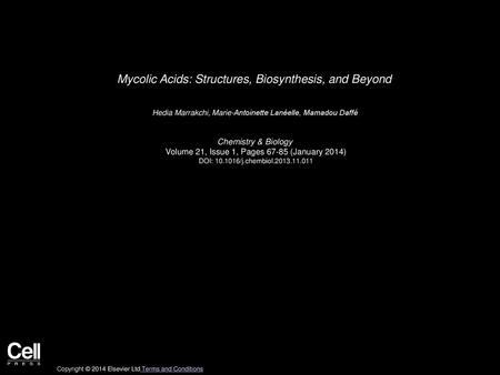 Mycolic Acids: Structures, Biosynthesis, and Beyond