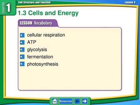 1.3 Cells and Energy cellular respiration ATP glycolysis fermentation