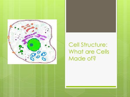 Cell Structure: What are Cells Made of?