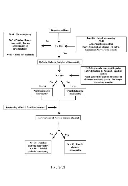 Figure S1 Diabetes mellitus N =8 - No neuropathy