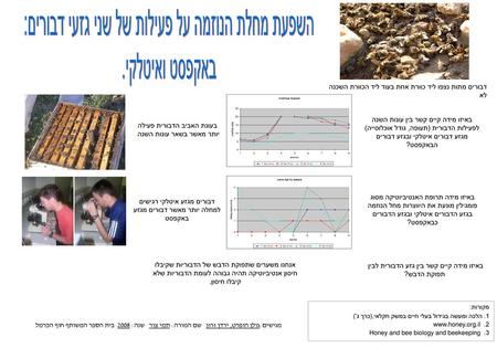 דבורים מתות נצפו ליד כוורת אחת בעוד ליד הכוורת השכנה לא