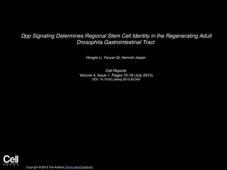 Dpp Signaling Determines Regional Stem Cell Identity in the Regenerating Adult Drosophila Gastrointestinal Tract  Hongjie Li, Yanyan Qi, Heinrich Jasper 