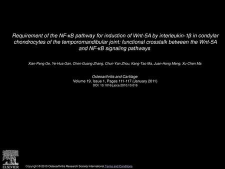 Requirement of the NF-κB pathway for induction of Wnt-5A by interleukin-1β in condylar chondrocytes of the temporomandibular joint: functional crosstalk.