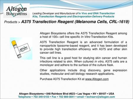 Products > A375 Transfection Reagent (Melanoma Cells, CRL-1619)