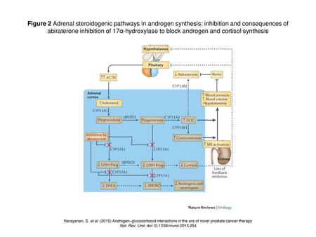 Nat. Rev. Urol. doi: /nrurol