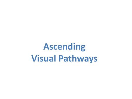 Ascending Visual Pathways