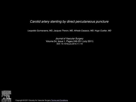 Carotid artery stenting by direct percutaneous puncture