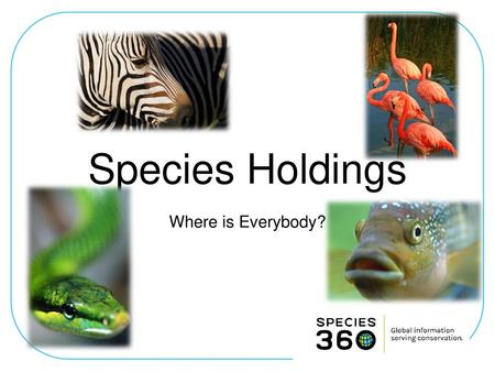 Species Holdings Where is Everybody?