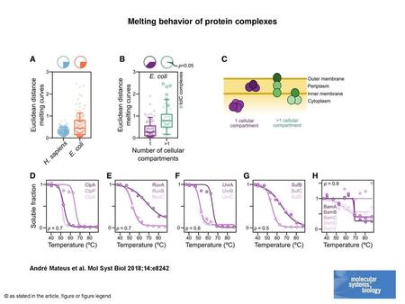 Melting behavior of protein complexes