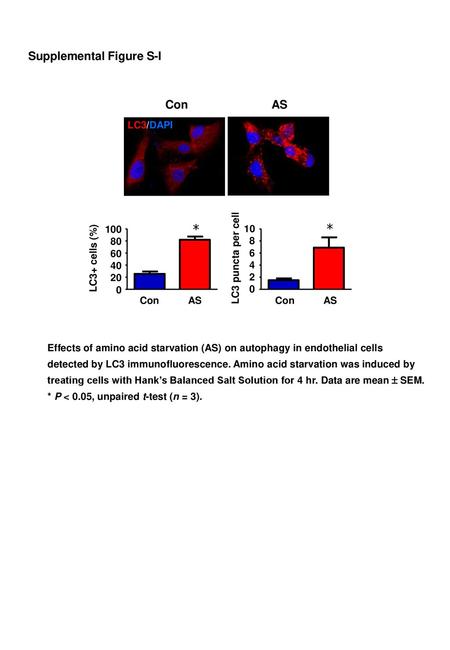 * * Supplemental Figure S-I Con AS LC3/DAPI