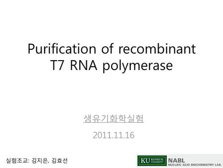 Purification of recombinant T7 RNA polymerase