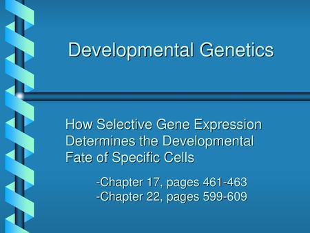 Developmental Genetics