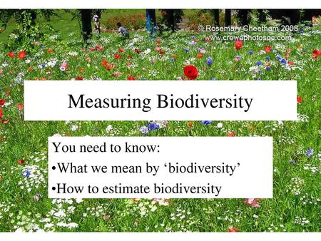 Measuring Biodiversity