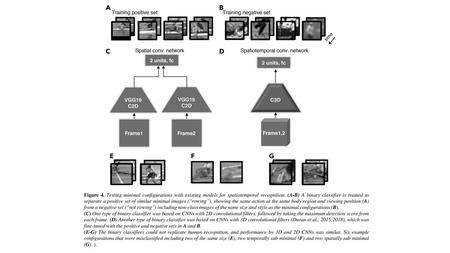 Figure 4. Testing minimal configurations with existing models for spatiotemporal recognition. (A-B) A binary classifier is trained to separate a positive.