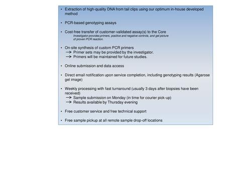 PCR-based genotyping assays