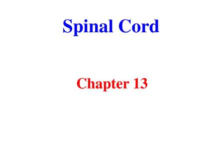 Spinal Cord Chapter 13.