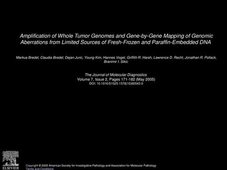 Amplification of Whole Tumor Genomes and Gene-by-Gene Mapping of Genomic Aberrations from Limited Sources of Fresh-Frozen and Paraffin-Embedded DNA  Markus.