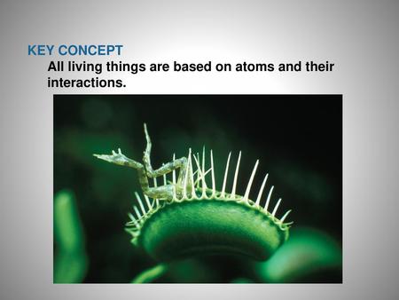 Living things consist of atoms of different elements.