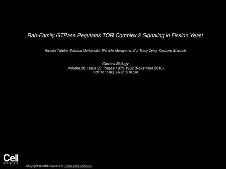 Rab-Family GTPase Regulates TOR Complex 2 Signaling in Fission Yeast