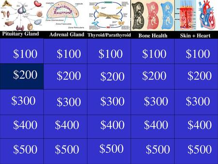 Pituitary Gland Thyrotoxicosis Adrenal Gland Thyroid/Parathyroid