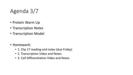 Agenda 3/7 Protein Warm Up Transcription Notes Transcription Model