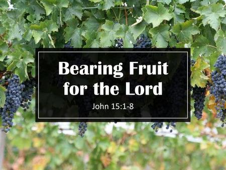 Bearing Fruit for the Lord