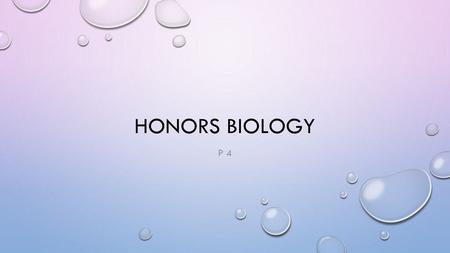 Honors Biology P 4.