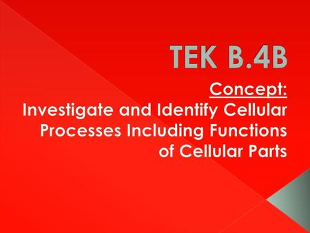 TEK B.4B Concept: Investigate and Identify Cellular Processes Including Functions of Cellular Parts.