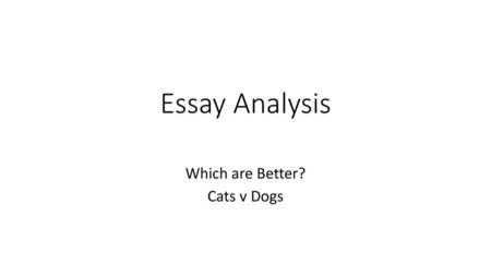 Which are Better? Cats v Dogs