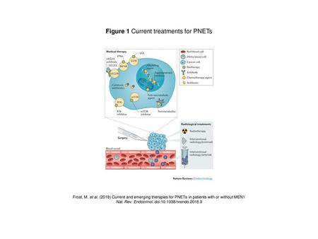 Figure 1 Current treatments for PNETs