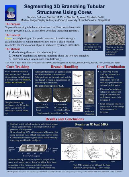 Segmenting 3D Branching Tubular Structures Using Cores