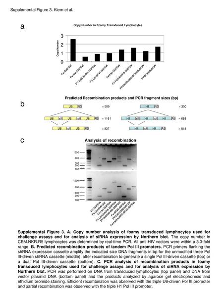 a b c Supplemental Figure 3. Kiem et al.