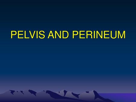 PELVIS AND PERINEUM.