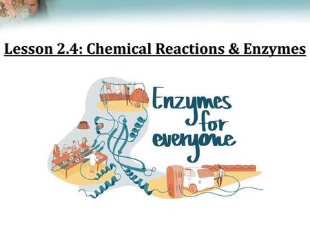 Lesson 2.4: Chemical Reactions & Enzymes