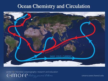 Ocean Chemistry and Circulation