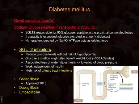 Diabetes mellitus SGLT2 inhibitors: Novel concepts (cont’d):