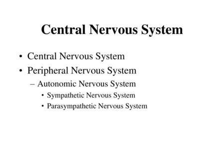 Central Nervous System