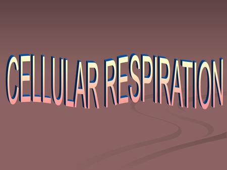 CELLULAR RESPIRATION.