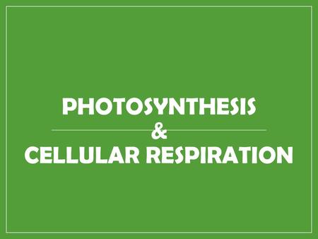 Photosynthesis & Cellular Respiration