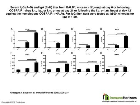 Serum IgG (A–D) and IgA (E–H) titer from BALB/c mice (n = 5/group) at day 0 or following COBRA P1 virus i.n., i.p., or i.m. prime at day 21 or following.