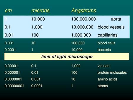 limit of light microscope