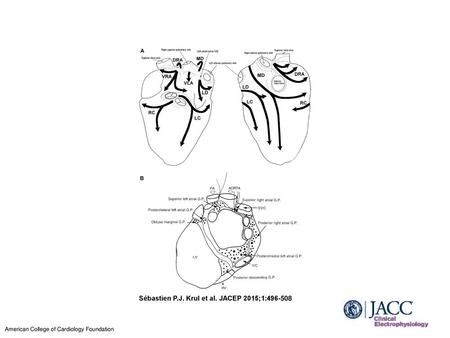 Sébastien P.J. Krul et al. JACEP 2015;1: