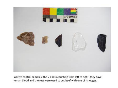 Positive control samples: the 2 and 3 counting from left to right, they have human blood and the rest were used to cut beef with one of its edges.