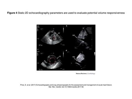 Nat. Rev. Cardiol. doi: /nrcardio