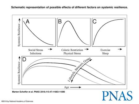 Schematic representation of possible effects of different factors on systemic resilience. Schematic representation of possible effects of different factors.