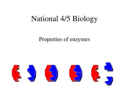 National 4/5 Biology Properties of enzymes.