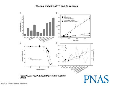 Thermal stability of TK and its variants.